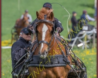 1POSIEUX 0419